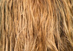 split ends